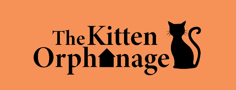 The Kitten Orphanage