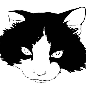 furever home Logo