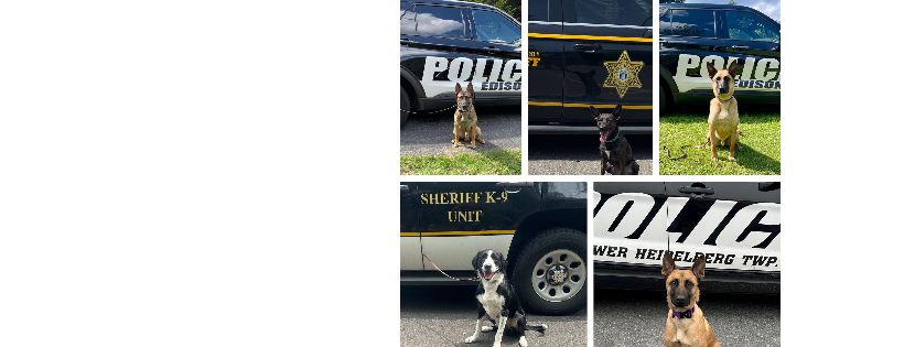 K9 Protectors Inc