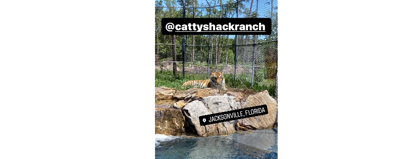Catty Shack Ranch Wildlife Sanctuary