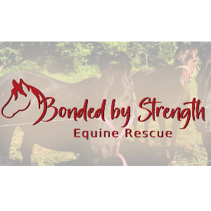 Bonded By Strength Equine Rescue Inc Logo