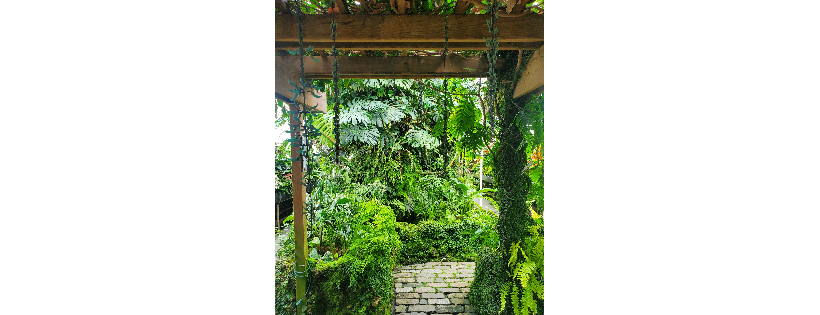 Friends of the Conservatory