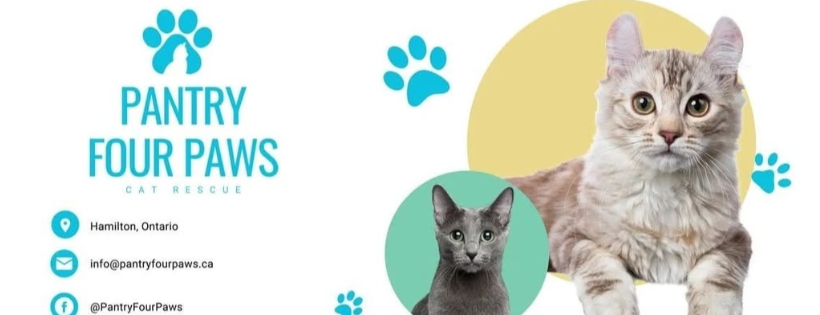 Pantry Four Paws