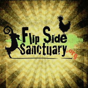Flip Side Sanctuary Logo