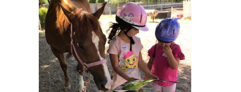 Horses Help Foundation
