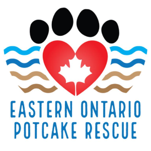 Eastern Ontario Potcake Rescue