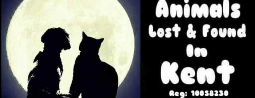 Animals Lost and Found in Kent