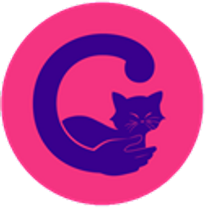 Cat Cuddle Cafe Brisbane
