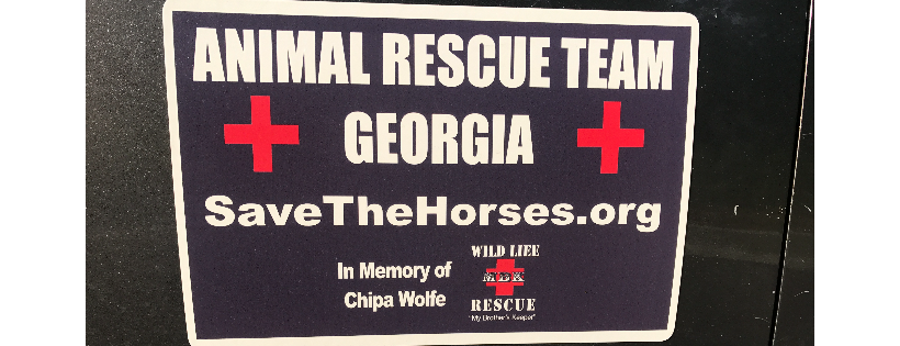 SAVE THE HORSES