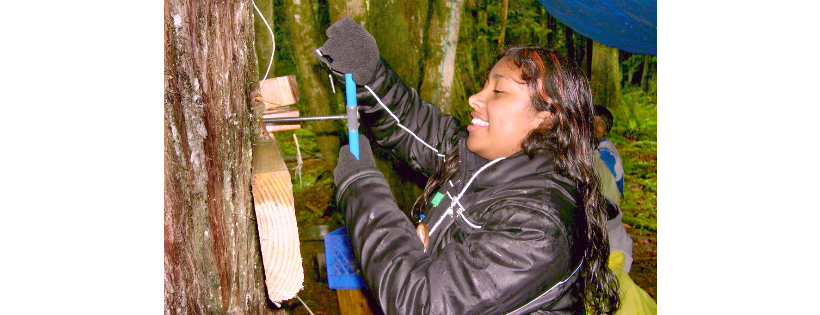 Friends of Outdoor School