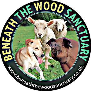Beneath The Wood Sanctuary Logo