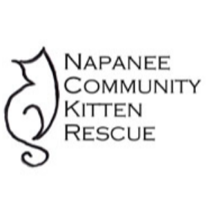 Napanee Community Kitten Rescue Logo