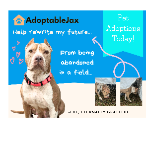 AdoptableJax