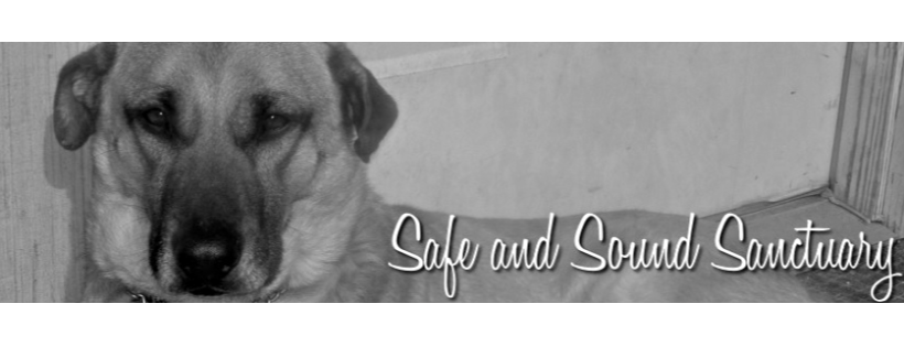Safe and Sound Sanctuary