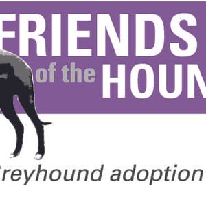 Friends Of The Hound Inc