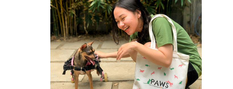 Paws for Compassion