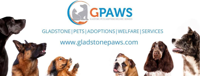 Gladstone PAWS Animal Rescue