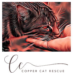 CopperCat Rescue