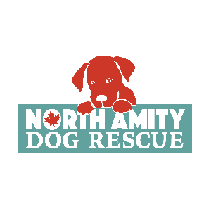 North Amity Dog Rescue Society