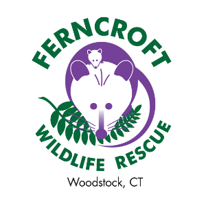 Ferncroft Wildlife Rescue