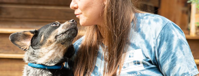 Friends of Homeless Animals