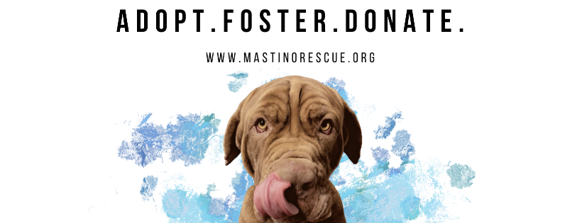 Mastino Rescue, Incorporated