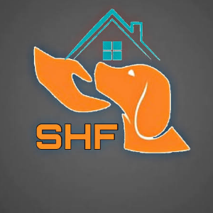 Safe Home Foundation