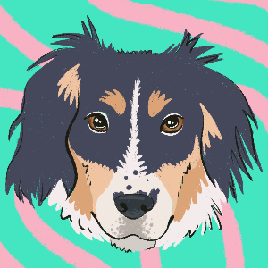 Kiki’s Hope for Animals