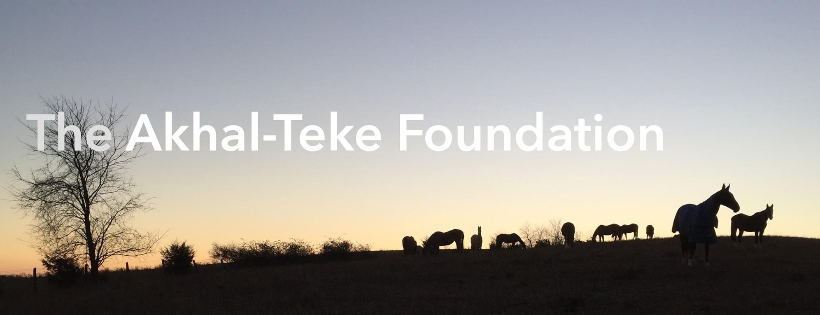 Akhal-Teke Foundation