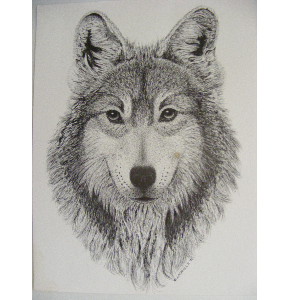 United States Wolf Refuge