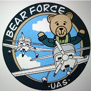 Bear Force
