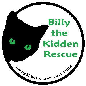 Billy the Kidden Rescue Logo