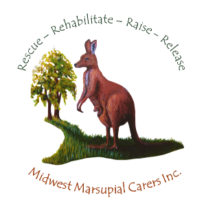 Midwest Marsupial Carers Inc