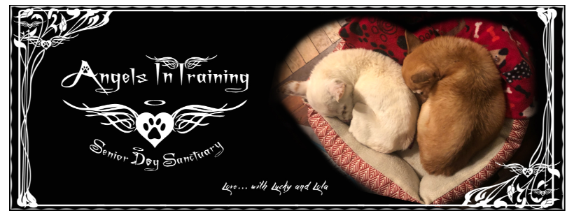 Angels In Training Incorporated