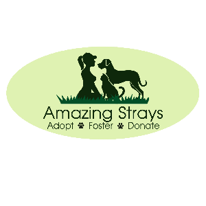 Amazing Strays Rescue Logo