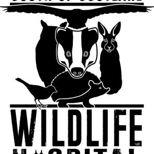 South of Scotland wildlife hospital Logo
