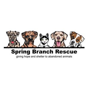 Spring Branch Rescue Logo