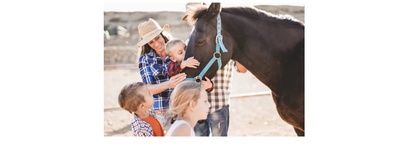 Zumas Rescue Ranch