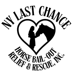 NY Last Chance Horse Bailout Relief & Rescue, Inc Logo