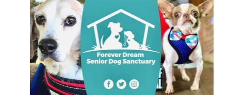 Forever Dream Senior Dog Sanctuary