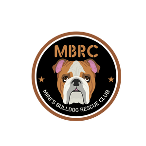 Mini's Bulldog Rescue Club