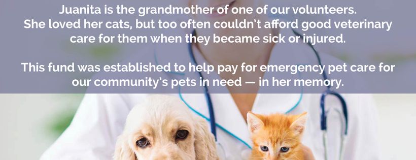 HEART OF TEXAS PARTNERS IN ANIMAL WELFARE SERVICES HOT-PAWS