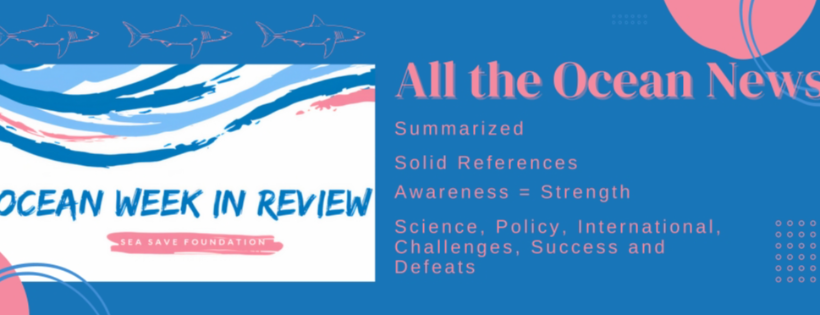 Sea Save Foundation