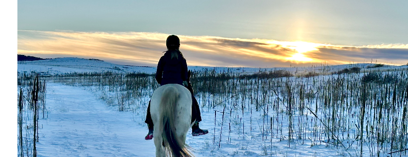 Zumas Rescue Ranch