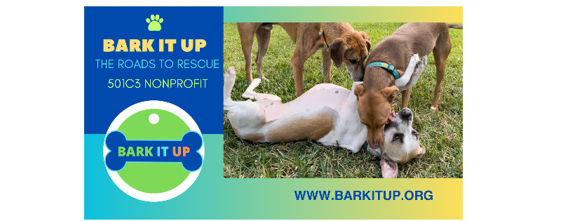 Bark It Up Inc.