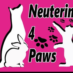Neutering4paws