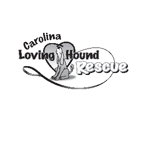 Carolina Loving Hound Rescue Logo