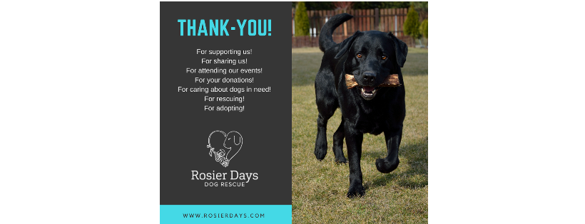 Rosier Days Dog Rescue Society