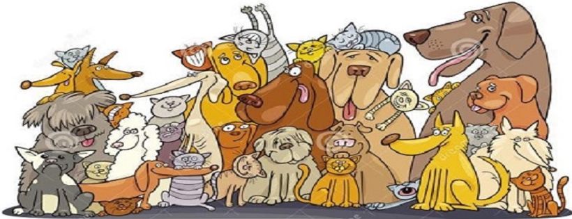 Pound Rescue Inc.