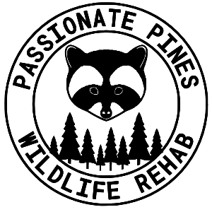 Passionate Pines Wildlife Rehabilitation Logo